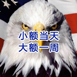 蒸湘要账公司